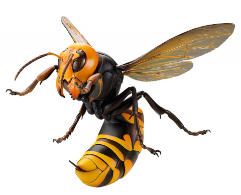 かっこいい スズメバチ 蜂 イラスト Josspicturejbjzp