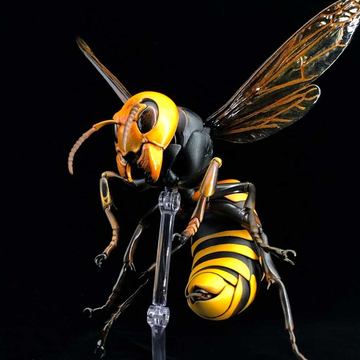 インタビュー 史上最高の昆虫フィギュアついに完成 Revo Geo オオスズメバチ インタビュー Hobby Watch