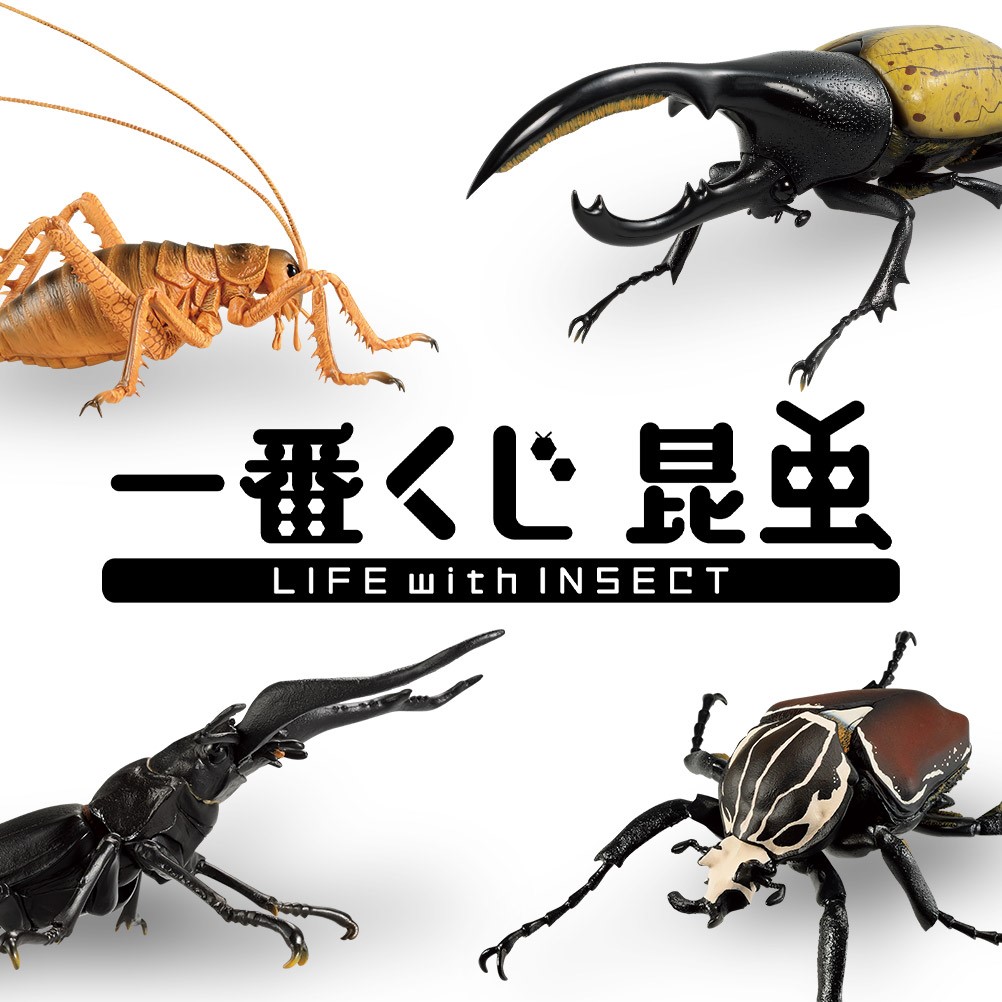 リアルなムシたち 原寸サイズの昆虫フィギュアがラインナップされた 一番くじ 昆虫 Life With Insect が登場 Hobby Watch