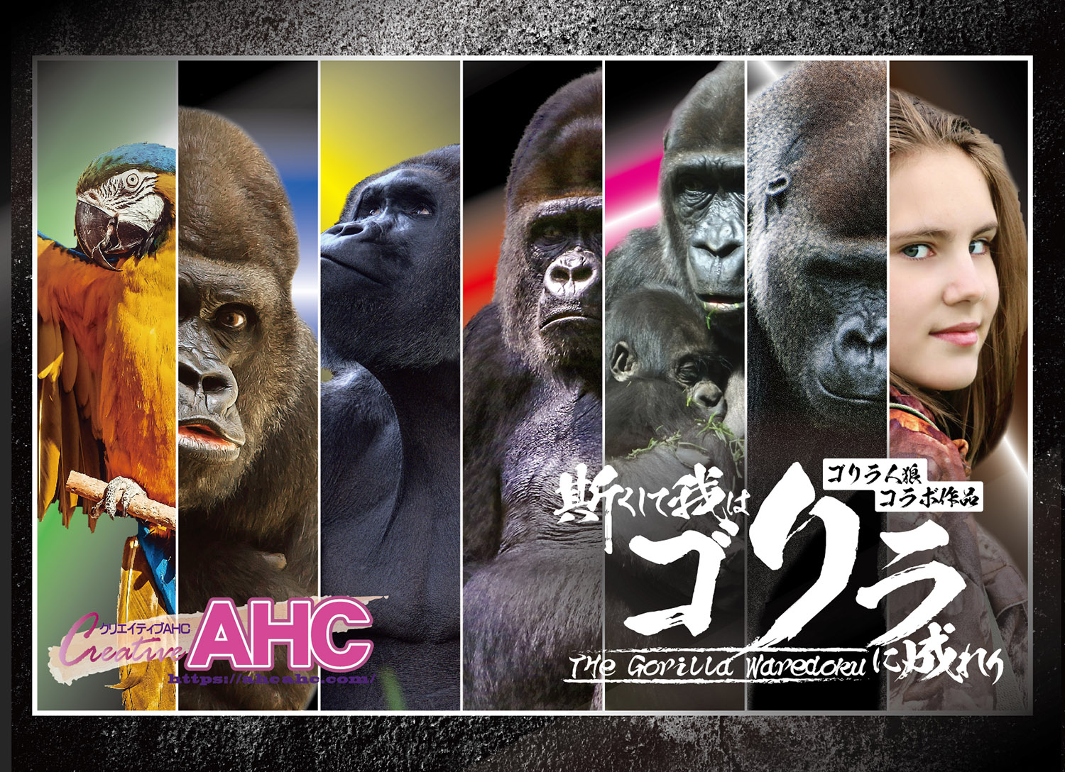 ゲームの勝者はゴリラとなる アナログゲーム 斯くして我はゴリラに成れり 2月13日に発売 Hobby Watch