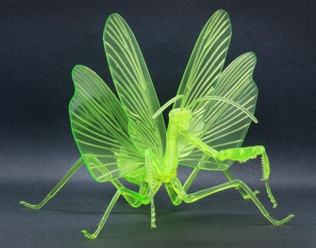 ケムンパス出品 オオカマキリ立体標本2点 フジミ、「オオカマキリ」プラモデル第3弾クリアーグリーン仕様を本日