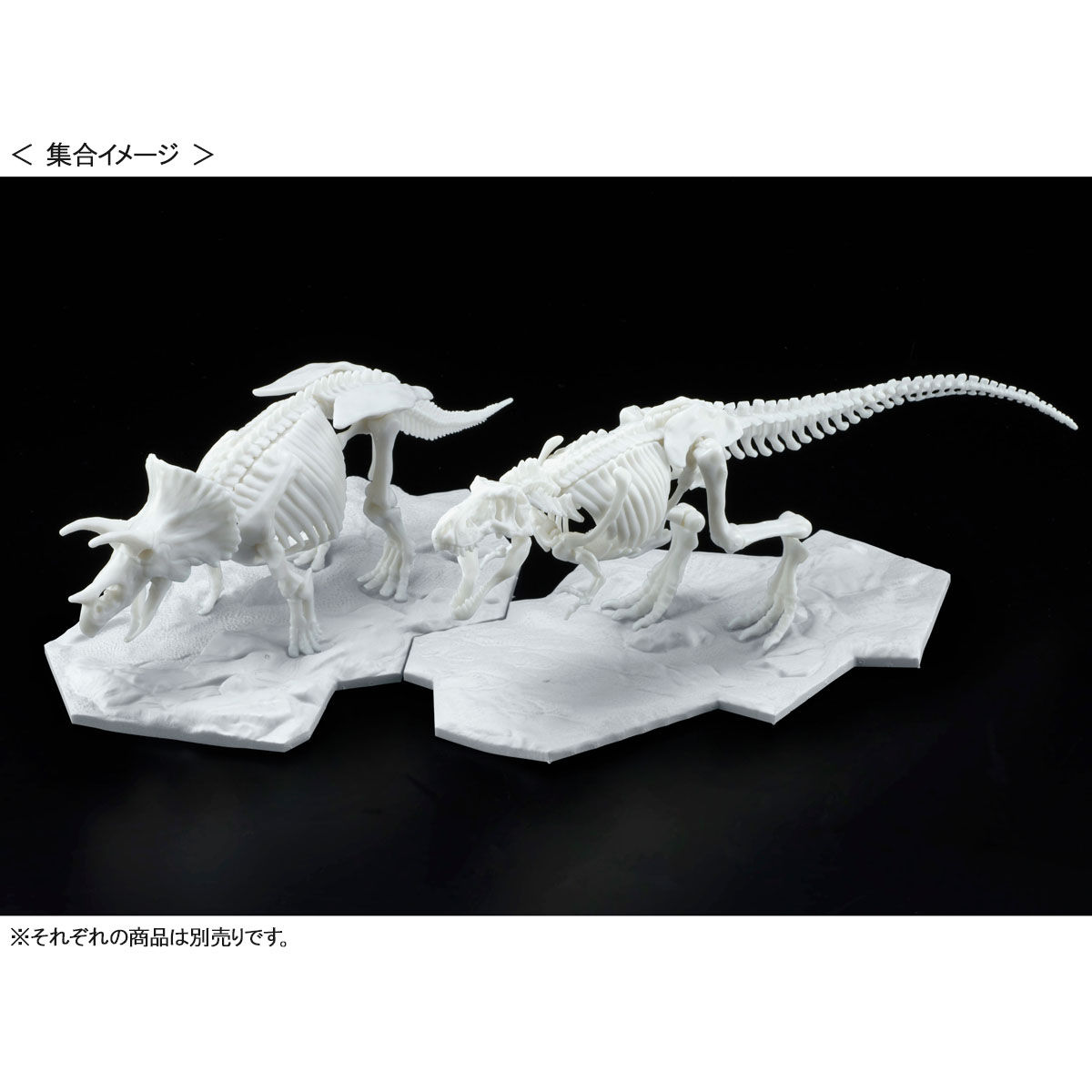 Bandai Spirits 新素材limex採用の恐竜骨格プラモデルシリーズを発表 Hobby Watch