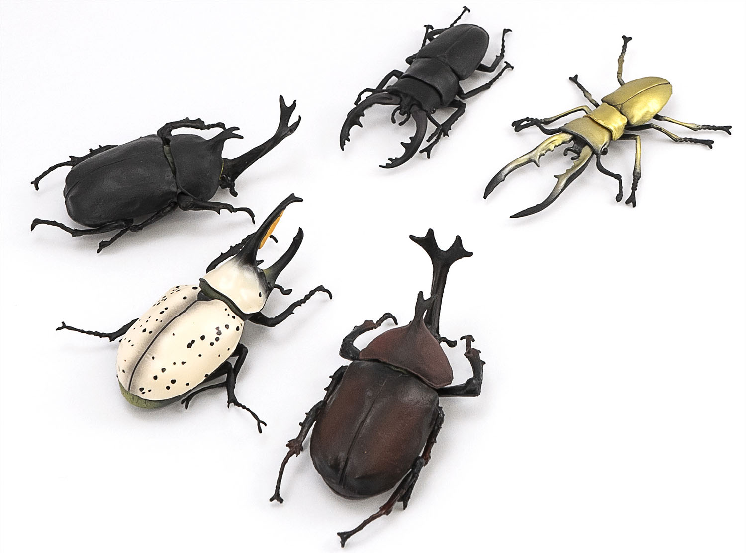 原寸大のカブトムシ クワガタ 食玩 昆虫ハンター の最新作が6月14日に発売 Hobby Watch
