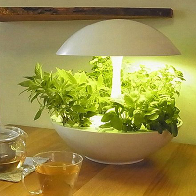楽天スーパーセールで「LED 水耕栽培 キット Akarina01」が半額