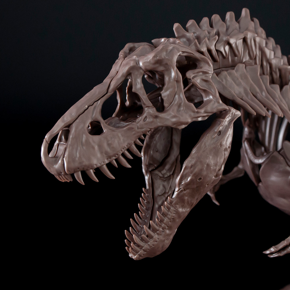 BANDAI SPIRITSの骨格標本プラモシリーズ第1弾「Imaginary Skeleton ティラノサウルス」の詳細が公開 - HOBBY  Watch