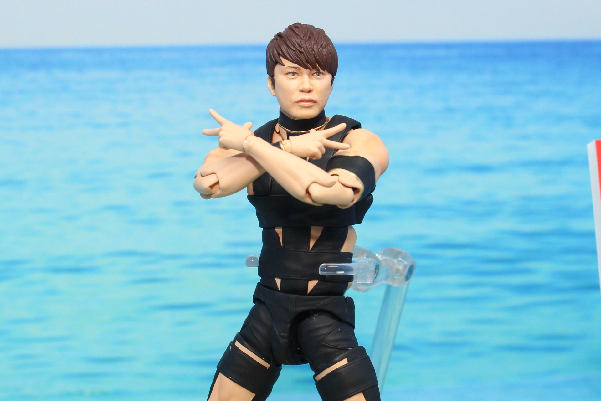 S.H.Figuarts T.M.Revolution 西川貴教 フィギュア-