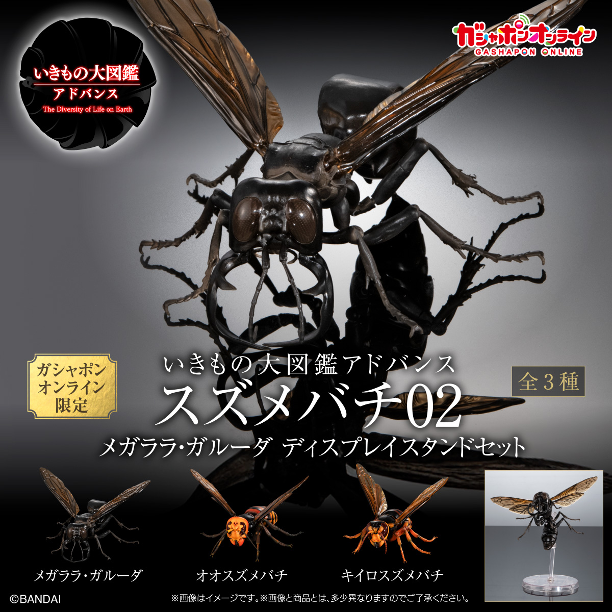 幻の蜂「メガララ・ガルーダ」がガシャポンに登場！ 「いきもの大図鑑