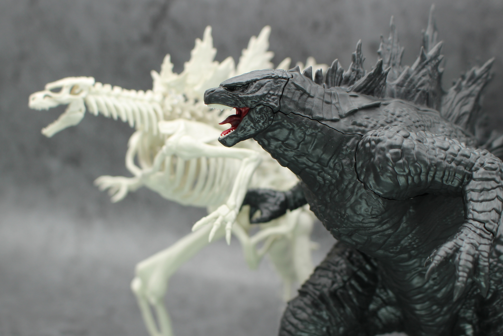 レビュー】「ゴジラ(2024) from『ゴジラxコング 新たなる帝国