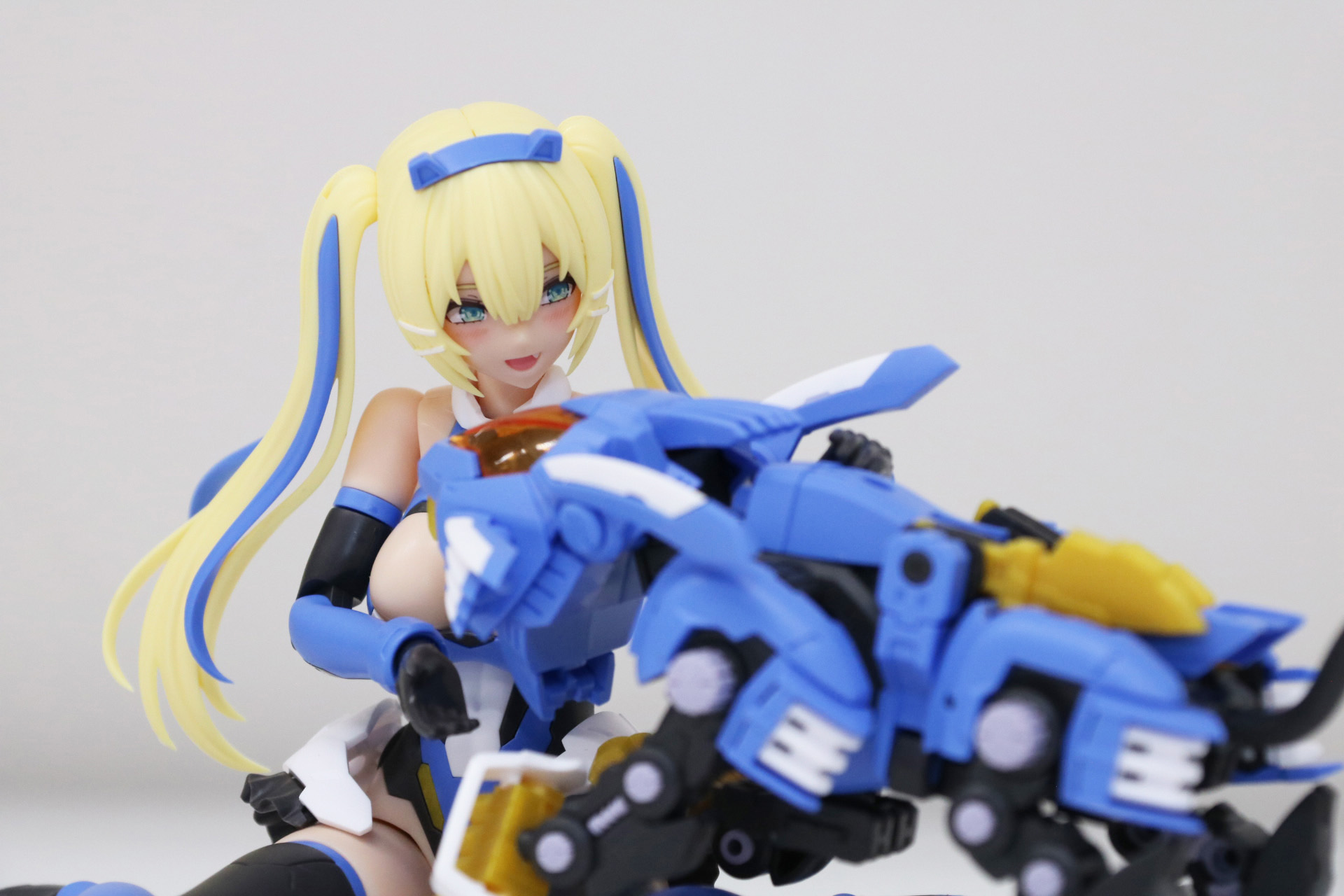 main.jpg