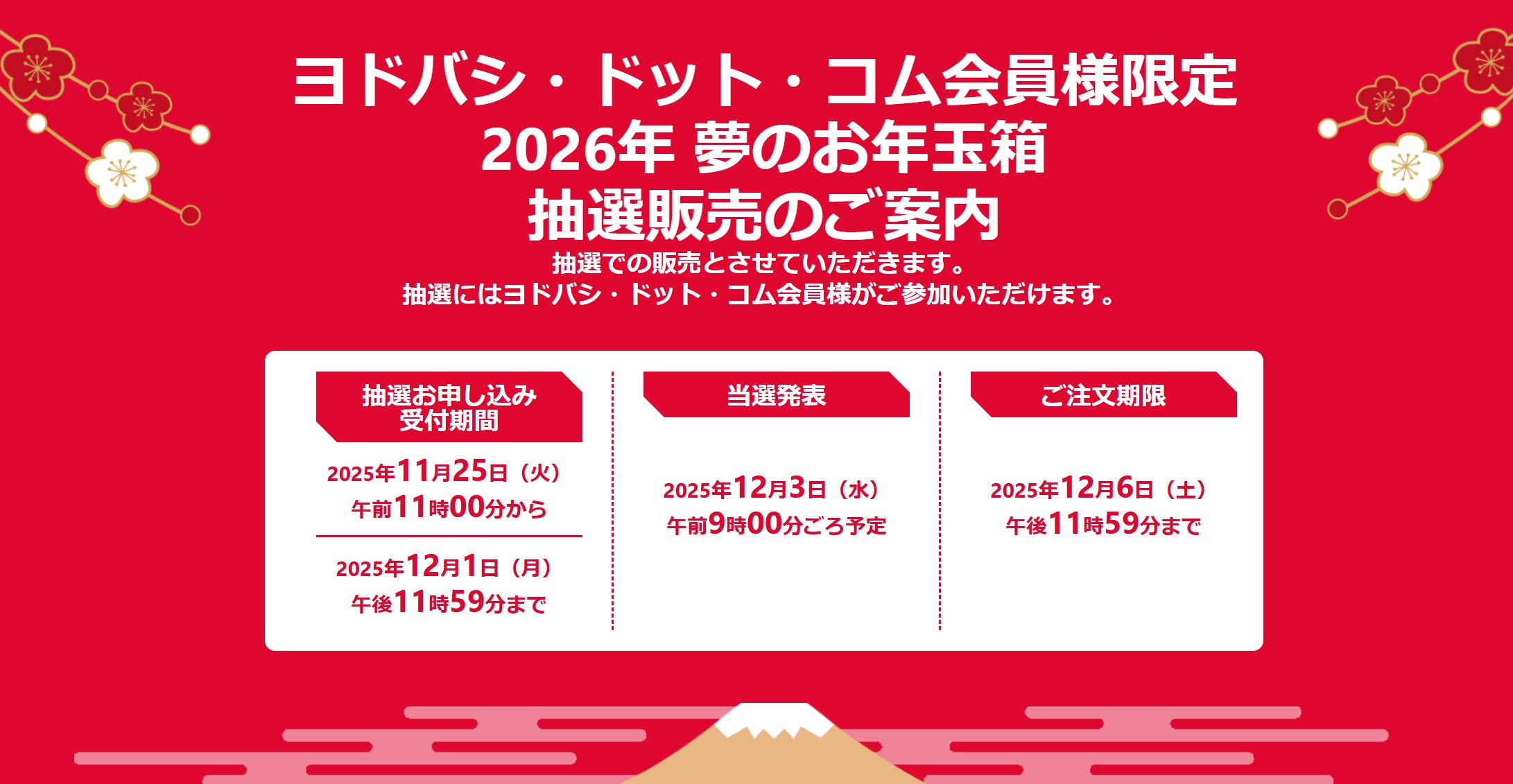 ヨドバシ・ドット・コムにて「2026年 夢のお年玉箱」抽選販売が開催