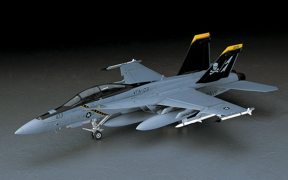 戦闘機　プラモデル　完成品　ハセガワ　1/48 F/A-18F ハセガワ、1/48スケールプラモデル「F/A-18F スーパーホーネット」本日