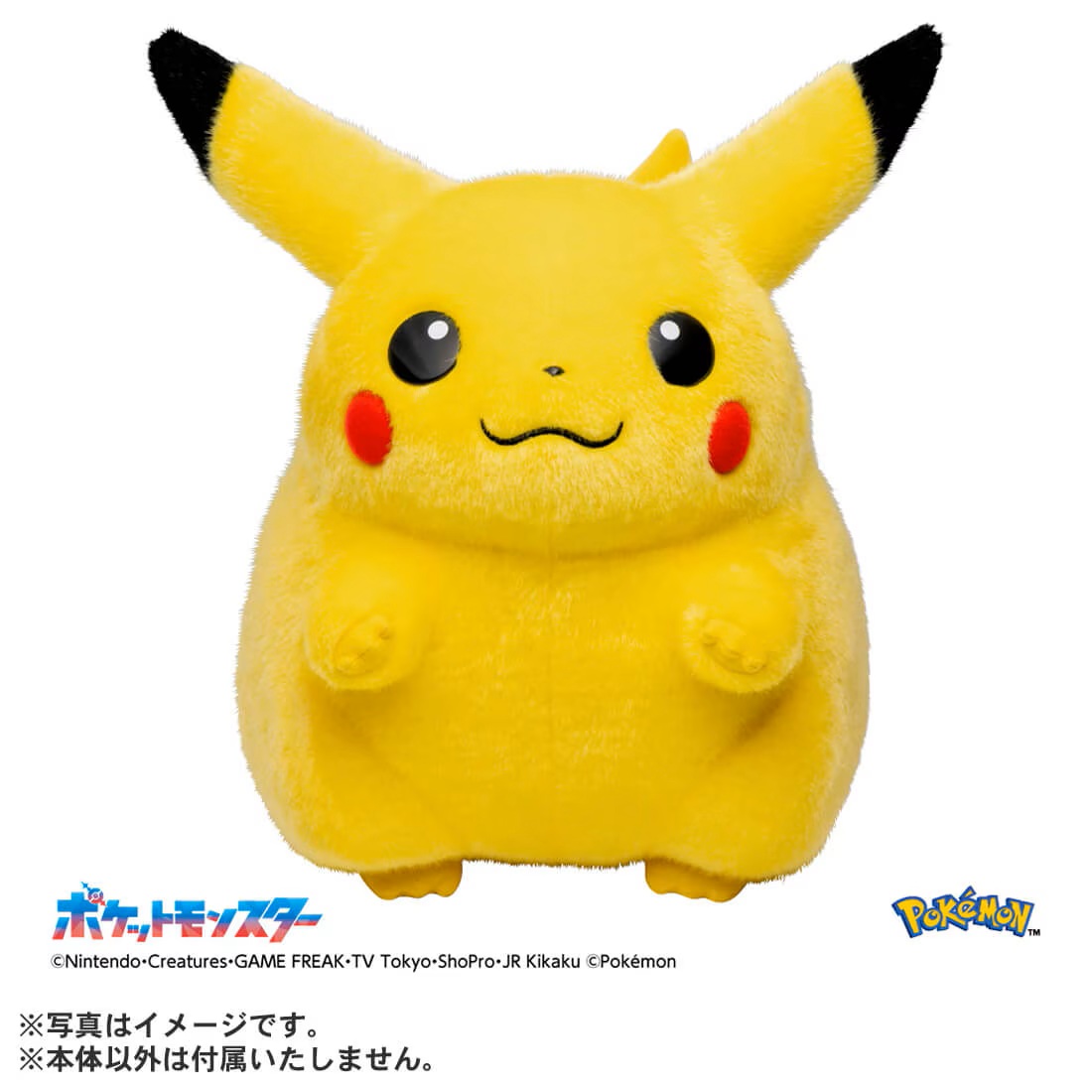 タカラトミーモール、ぬいぐるみ「おかえり！ピカチュウ1/1」の次回